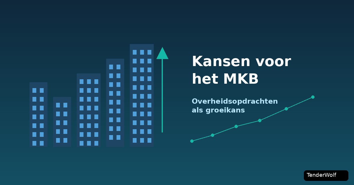 Unternehmer prüft Wachstumschancen bei öffentlichen Aufträgen